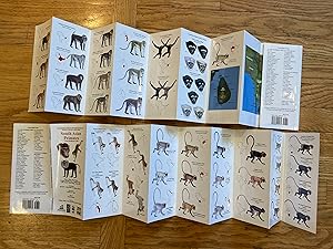 Seller image for SOUTH ASIAN PRIMATES: POCKET IDENTIFICATION GUIDE for sale by Paul Gritis Books