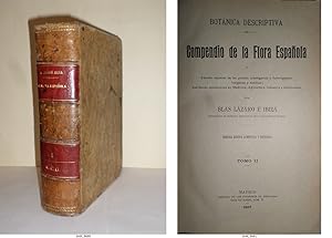 Botánica descriptica. Compendio de la Flora Española y Estudio especial de las plantas criptógama...