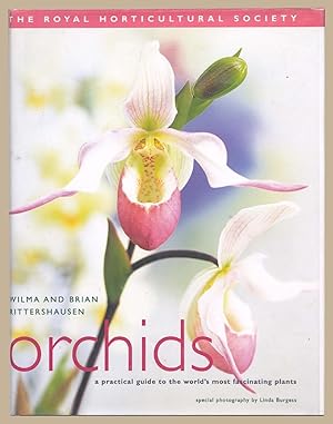 Seller image for Orchids : A Practical Guide to the World's Most Fascinating Plants for sale by Martin Harrison