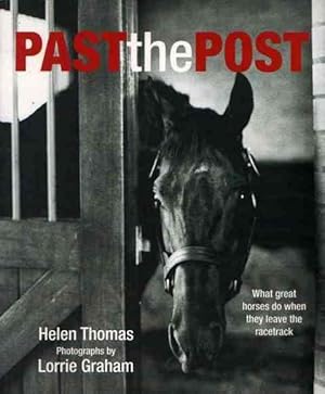 Past the Post: What great horses do when they leave the racetrack