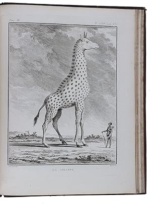 Image du vendeur pour Histoire naturelle, gnrale et particulire . . . Supplment [Tome premier - septime].Paris, Imprimerie Royale, 1774-1782 (vols. 1-6); Dordrecht, A. Bluss and son, 1799 (vol. 7). 7 volumes. 4to. With 2 folding engraved maps and 218 plates (full-page and folding and including 2 bis), all engraved. Contemporary mottled calf, gold-tooled spine and board edges (vols. 1-6, uniform), 19th-century half calf, gold-tooled spine (vol. 7). mis en vente par ASHER Rare Books