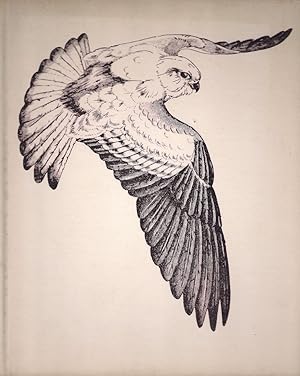 Bild des Verkufers fr NEEKA THE KESTREL. Written and illustrated by David Rook. zum Verkauf von Coch-y-Bonddu Books Ltd