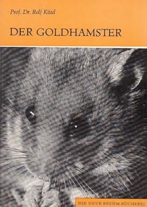 Der Goldhamster. (Mesocricetus auratus).