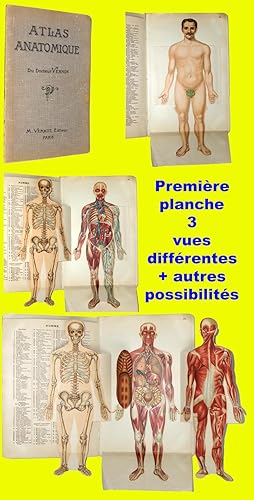 Atlas anatomique du Docteur Vernon