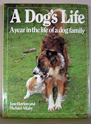 A DOG'S LIFE, A Year in the Life of a Dog Family
