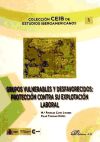 Grupos vulnerables y desfavorecidos : protección contra su explotación laboral