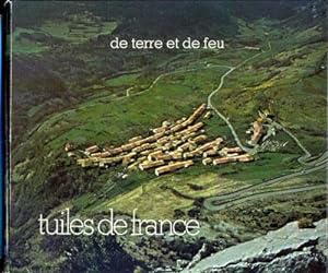 Bild des Verkufers fr De terre et de feu. Tuiles de France zum Verkauf von Eratoclio