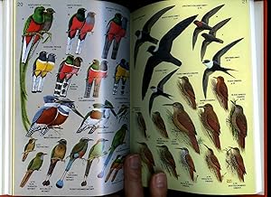 Bild des Verkufers fr A Field Guide to the Birds of Mexico zum Verkauf von Little Stour Books PBFA Member