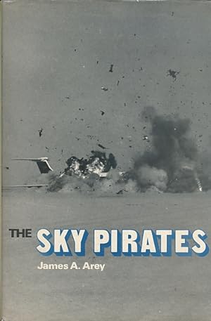 Seller image for The Sky Pirates for sale by Barter Books Ltd