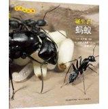 Imagen del vendedor de The story of life: born! Ant(Chinese Edition) a la venta por liu xing