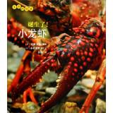 Imagen del vendedor de The story of life: born! Crayfish(Chinese Edition) a la venta por liu xing