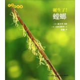 Imagen del vendedor de The story of life: born! Mantis(Chinese Edition) a la venta por liu xing