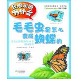 Imagen del vendedor de I want to know why the caterpillar becomes a butterfly is how: For Fun wacky reptiles 40 asked repartee(Chinese Edition) a la venta por liu xing