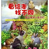 Immagine del venditore per Find a different look at picture books: Owl and small rabbits(Chinese Edition) venduto da liu xing