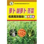 Imagen del vendedor de Radish carrot mustard quality and efficient cultivation techniques Answers(Chinese Edition) a la venta por liu xing