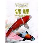 Imagen del vendedor de Ornamental fish breeding collection Culture Appreciation Series: Koi(Chinese Edition) a la venta por liu xing
