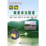 Seller image for Haixi New Rural Library Series: EEL spectrum of disease diagnosis and treatment(Chinese Edition) for sale by liu xing
