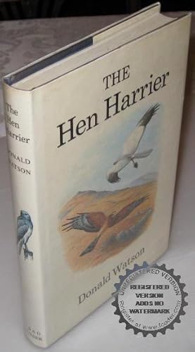 Bild des Verkufers fr The Hen Harrier zum Verkauf von Bawnmore Fine and Rare Books