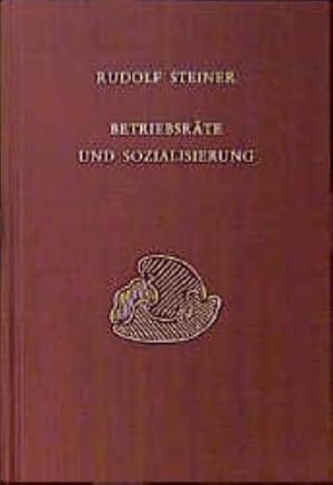 Seller image for Betriebsrte und Sozialisierung : Diskussionsabende mit den Arbeiterausschssen der groen Betriebe Stuttgarts 1919 for sale by AHA-BUCH GmbH