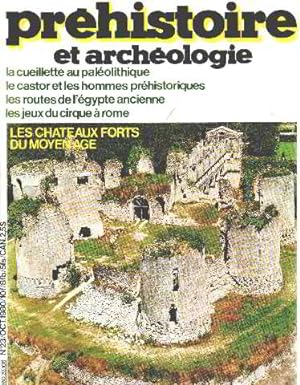 Initiation a l'archeologie et a la prehistoire n° 23 / les chateaux forts du moyen age