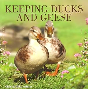 Seller image for KEEPING DUCKS AND GEESE. By Chris & Mike Ashton. for sale by Coch-y-Bonddu Books Ltd
