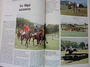 "LO SPERONE Mensile di Sport Equestri - 1984"