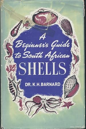 A Beginner's Guide to South African Shells.