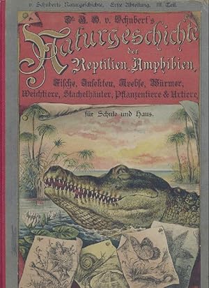 Naturgeschichte der Reptilien, Amphibien, Fische, Insekten, Krebse, Würmer, Weichtiere, Stachelhä...