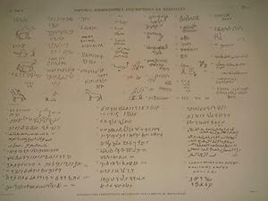 DESCRIPTION DE L'EGYPTE. Papyrus. Hiéroglyphes. Inscriptions et médailles. Différentes inscriptio...