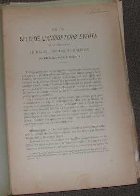 Sur les sels de l'angiopteris evecta et en particulier le malate neutre de calcium.