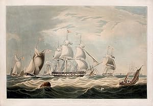 The Right Honourable Lord Yarborough's yacht, The Falcon of 351 tons