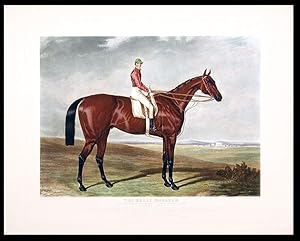 The Merry Monarch. The Winner of the Derby Stakes at Epsom 1845. 138 Subscribers - 31 Started. Br...