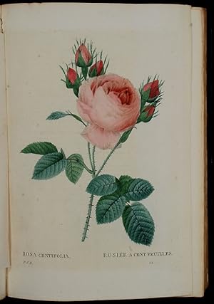 Les Roses, peintes par. Redouté.décrites et classes selon leur ordre naturel, par.Thory. Troisièm...