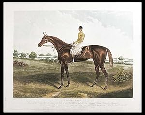 Shotover, Winner of the Derby Stakes at Epsom 1882, Value of the Stakes £4800 and the Two Thousan...