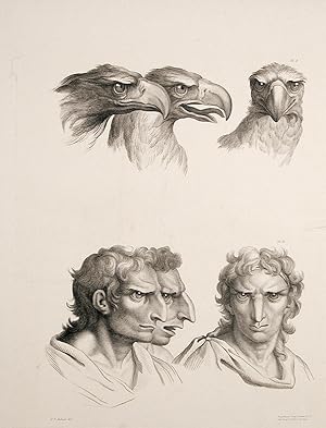 Imagen del vendedor de [Illustration of physiognomic resemblance between a Man and an Eagle] a la venta por Donald A. Heald Rare Books (ABAA)