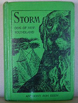STORM, DOG OF NEWFOUNDLAND