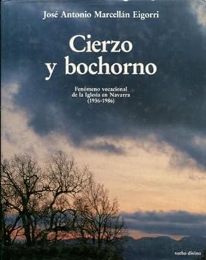CIERZO Y BOCHORNO. FENOMENO VOCACIONAL DE LA IGLESIA EN NAVARRA (1936-1986).