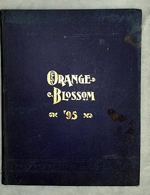 The Orange Blossom ['95]