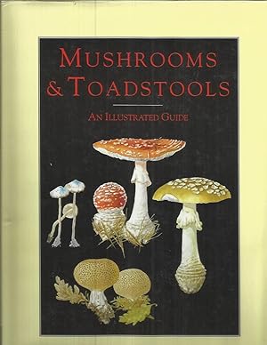 Seller image for MUSHROOMS & TOADSTOOLS: An Illustrated Guide. Illustrations By Bohumil Vancura. Translated By Elizabeth Kindlova. for sale by Chris Fessler, Bookseller