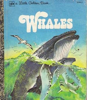 Imagen del vendedor de WHALES a la venta por Black Stump Books And Collectables