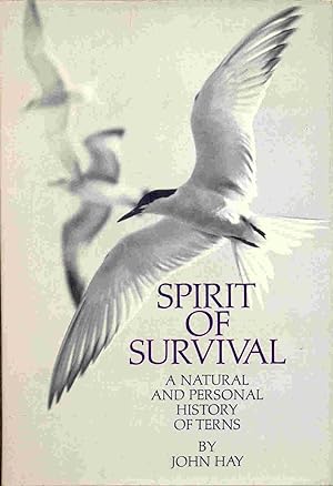 Seller image for Spirit of Survival: A Natural and Personal History of Terns for sale by The Glass Key