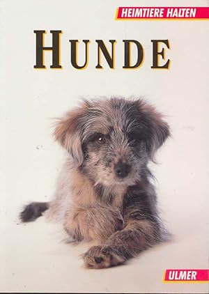 Bild des Verkäufers für Hunde zum Verkauf von Online-Buchversand  Die Eule