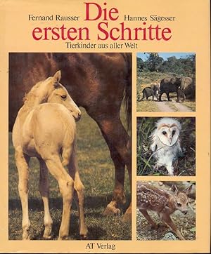 Seller image for Die ersten Schritte for sale by Online-Buchversand  Die Eule