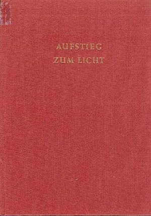 Imagen del vendedor de Aufstieg zum Licht a la venta por Online-Buchversand  Die Eule