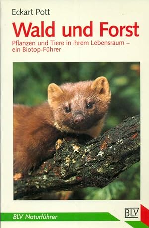 Bild des Verkufers fr Wald und Forst. Pflanzen und Tiere in ihrem Lebensraum - ein Biotop-Fhrer. zum Verkauf von Online-Buchversand  Die Eule