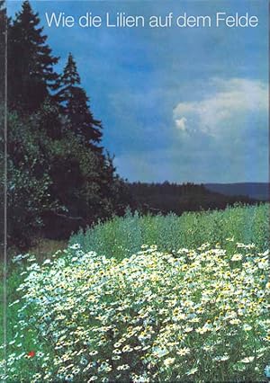 Seller image for Wie die Lilien auf dem Felde. for sale by Online-Buchversand  Die Eule