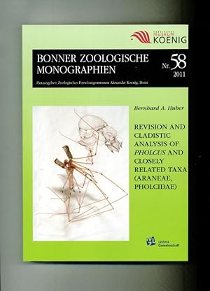 Revision and cladistic analysis of Pholcus and closely related Taxa (Araneae, Pholcidae). Reihe: ...