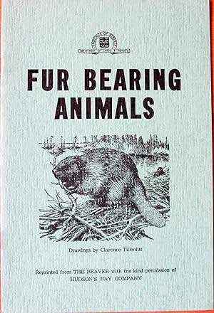 Fur Bearing Animals. (Beaver, Muskrat, Ermine, Lynx, Squirrel, Arctic Fox, Coloured Fox, Coyote, ...