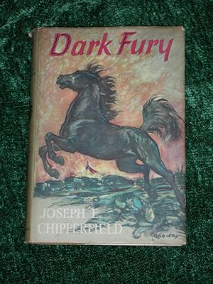 Dark Fury Stallion of Lost River Valley