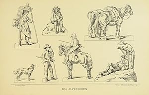 Seller image for Das Alpenleben. for sale by Versandantiquariat Wolfgang Friebes